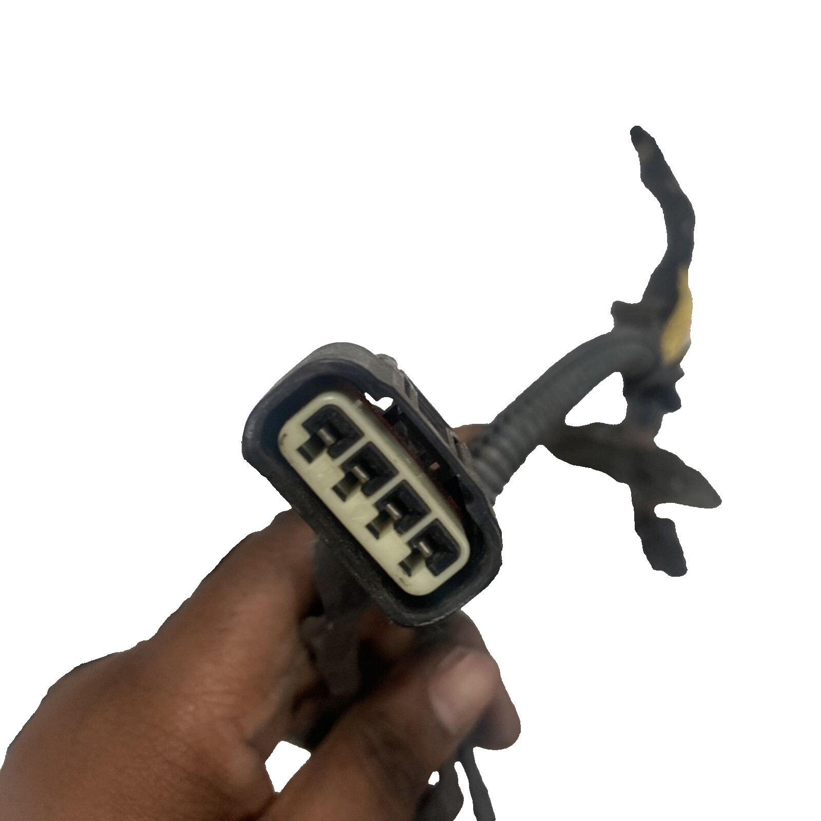 02,03,04,05 Toyota Sequoia Engine Wiring Harness