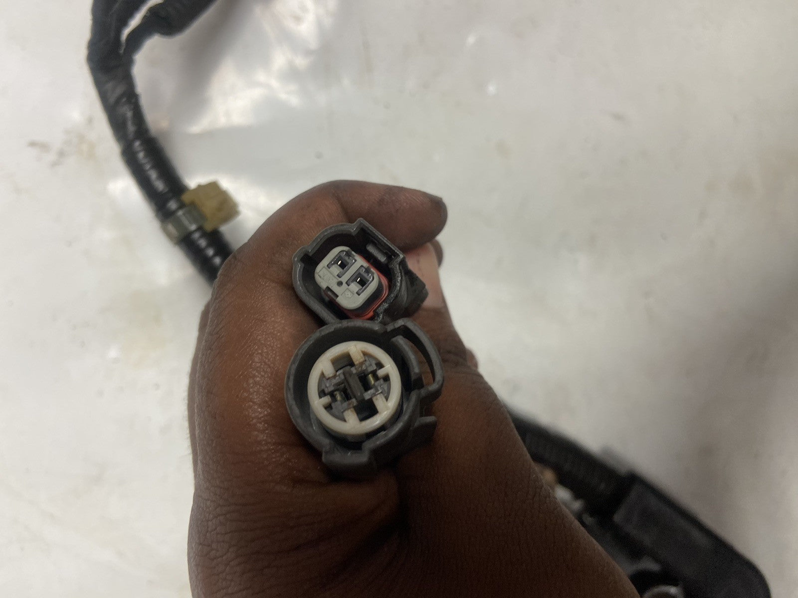 2004 ACCORD ENGINE MOTOR ELECTRICAL WIRE WIRING HARNESS 2.4L