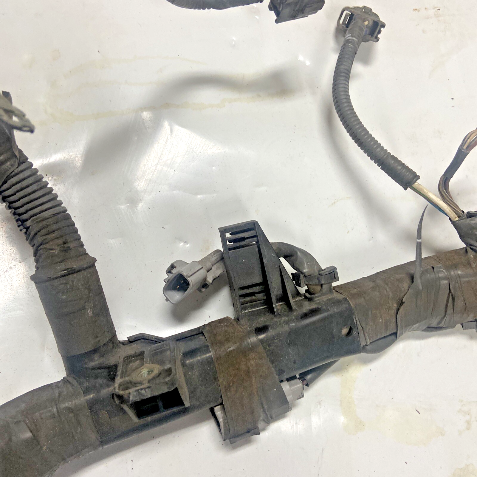 02,03,04,05 Toyota Sequoia Engine Wiring Harness