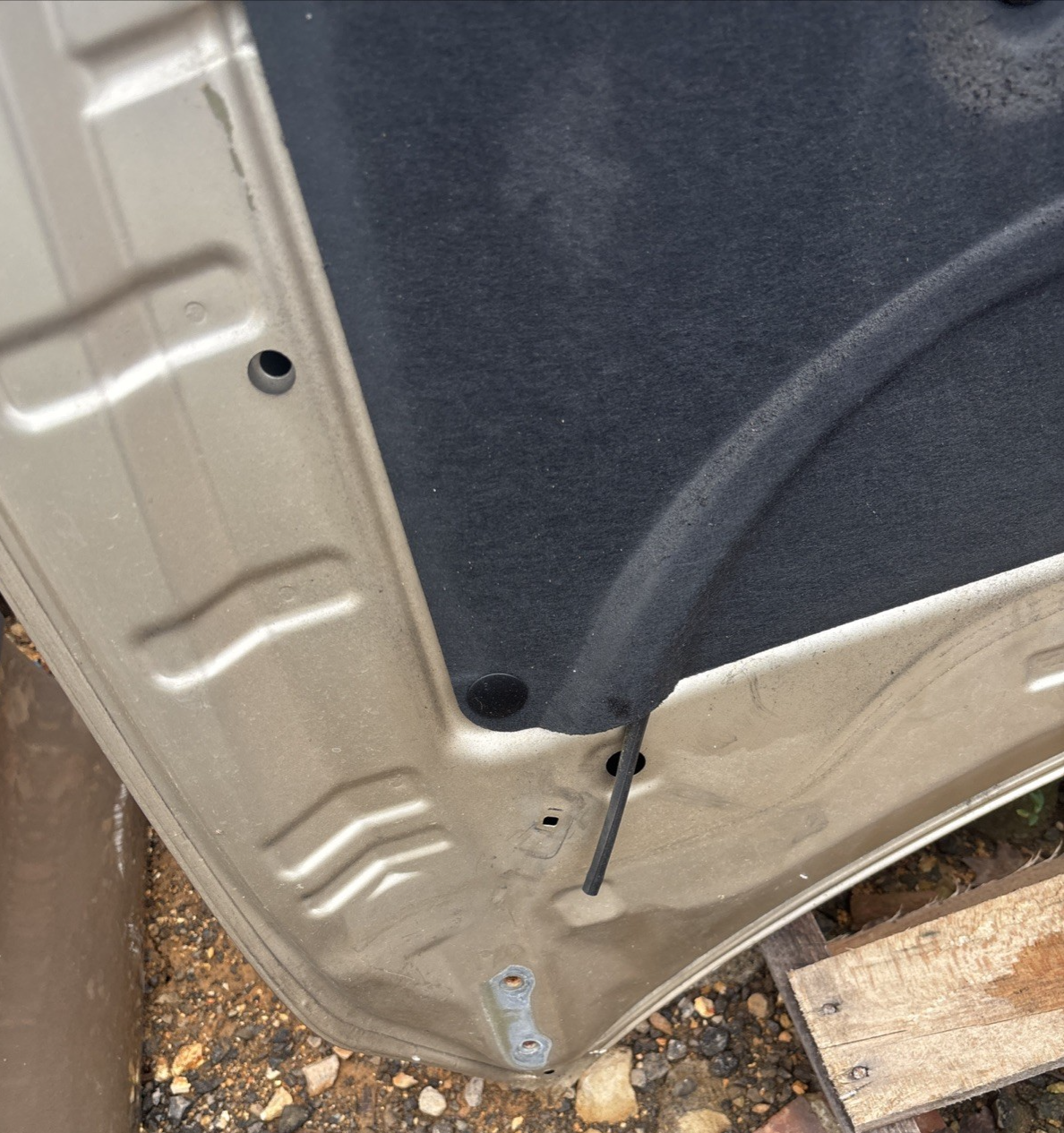 2000-2006 TOYOTA TUNDRA HOOD PANEL ASSEMBLY OEM GOLD