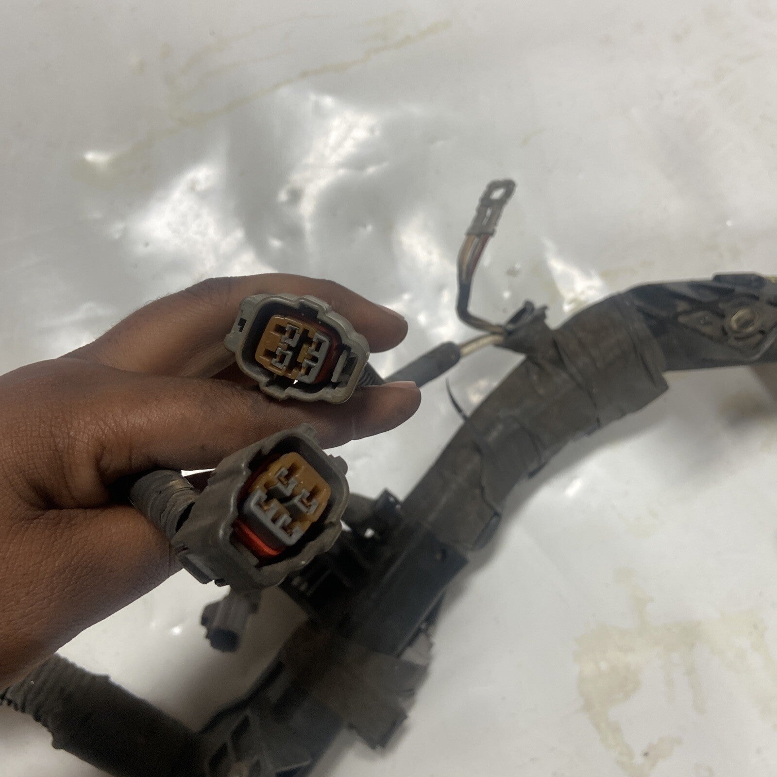 02,03,04,05 Toyota Sequoia Engine Wiring Harness