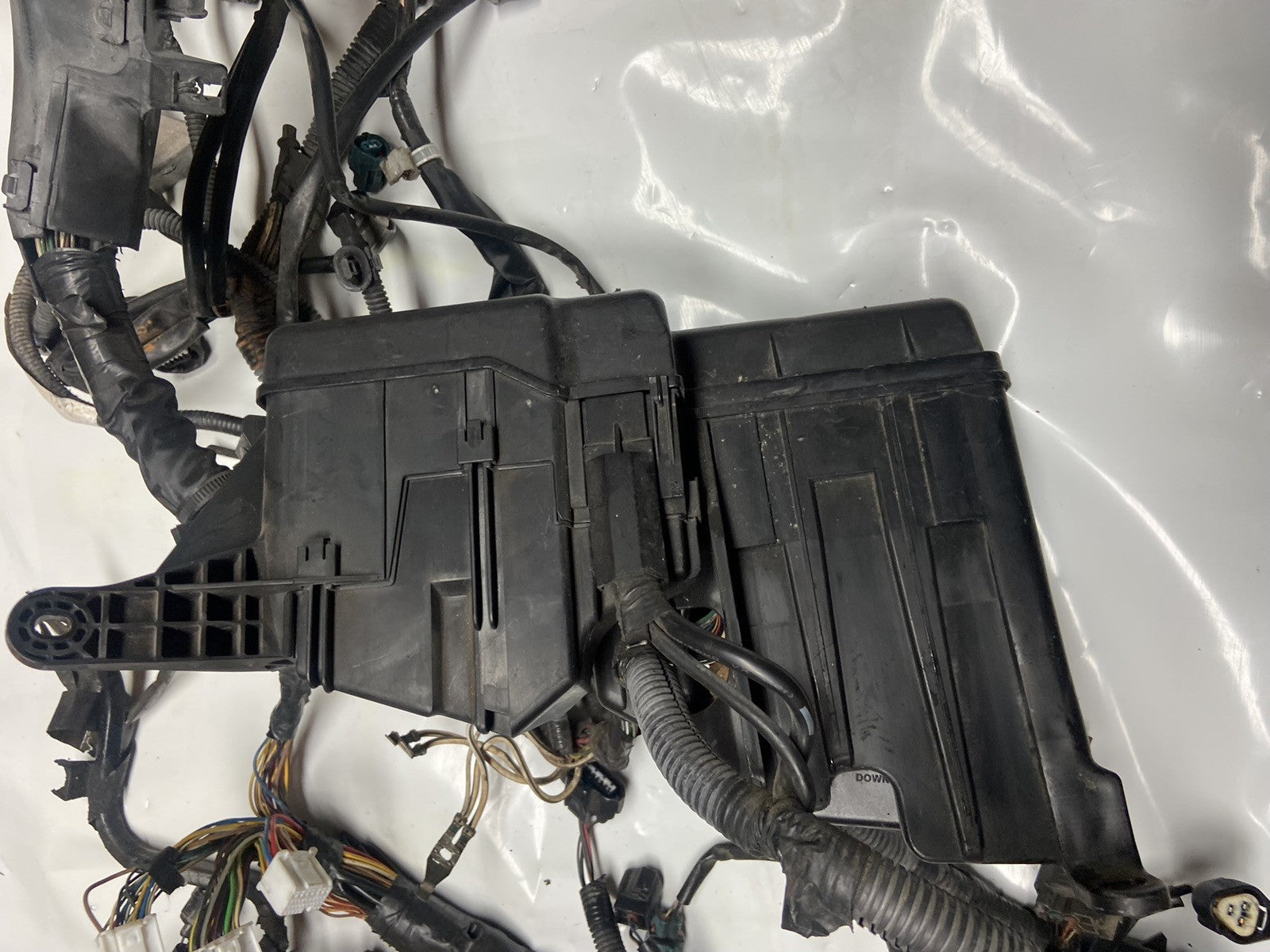 2002-03 Lexus ES 300 Complete Engine Wiring Harness and Fuse Box Wiring Harness