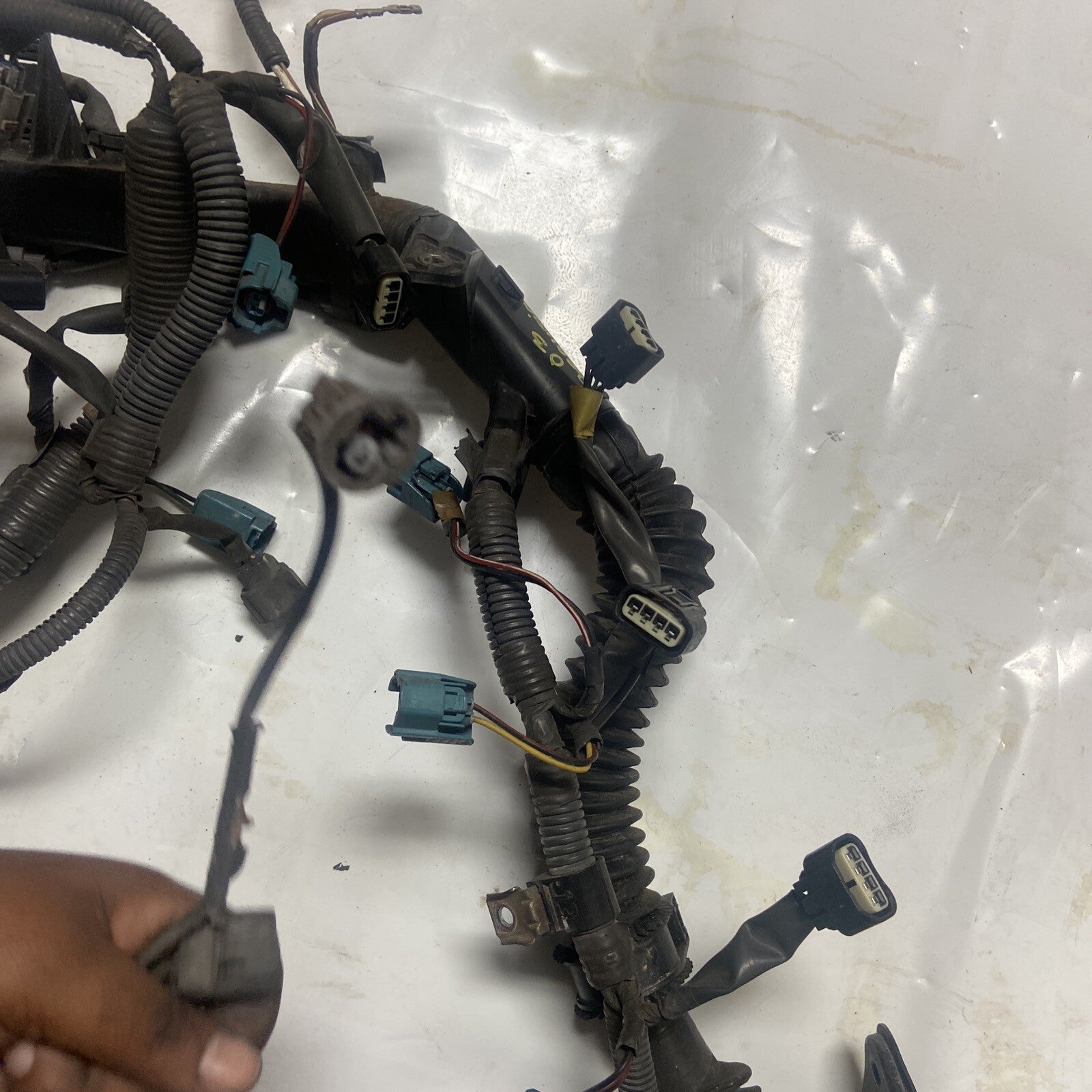 02,03,04,05 Toyota Sequoia Engine Wiring Harness
