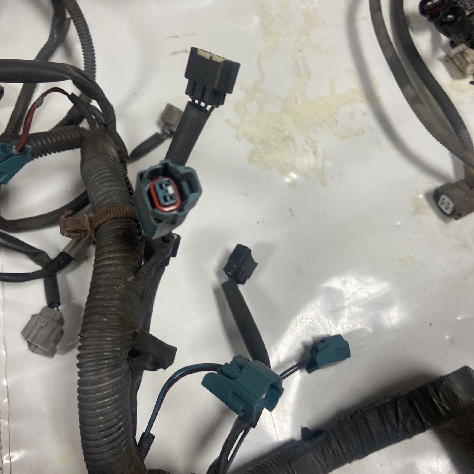 02,03,04,05 Toyota Sequoia Engine Wiring Harness