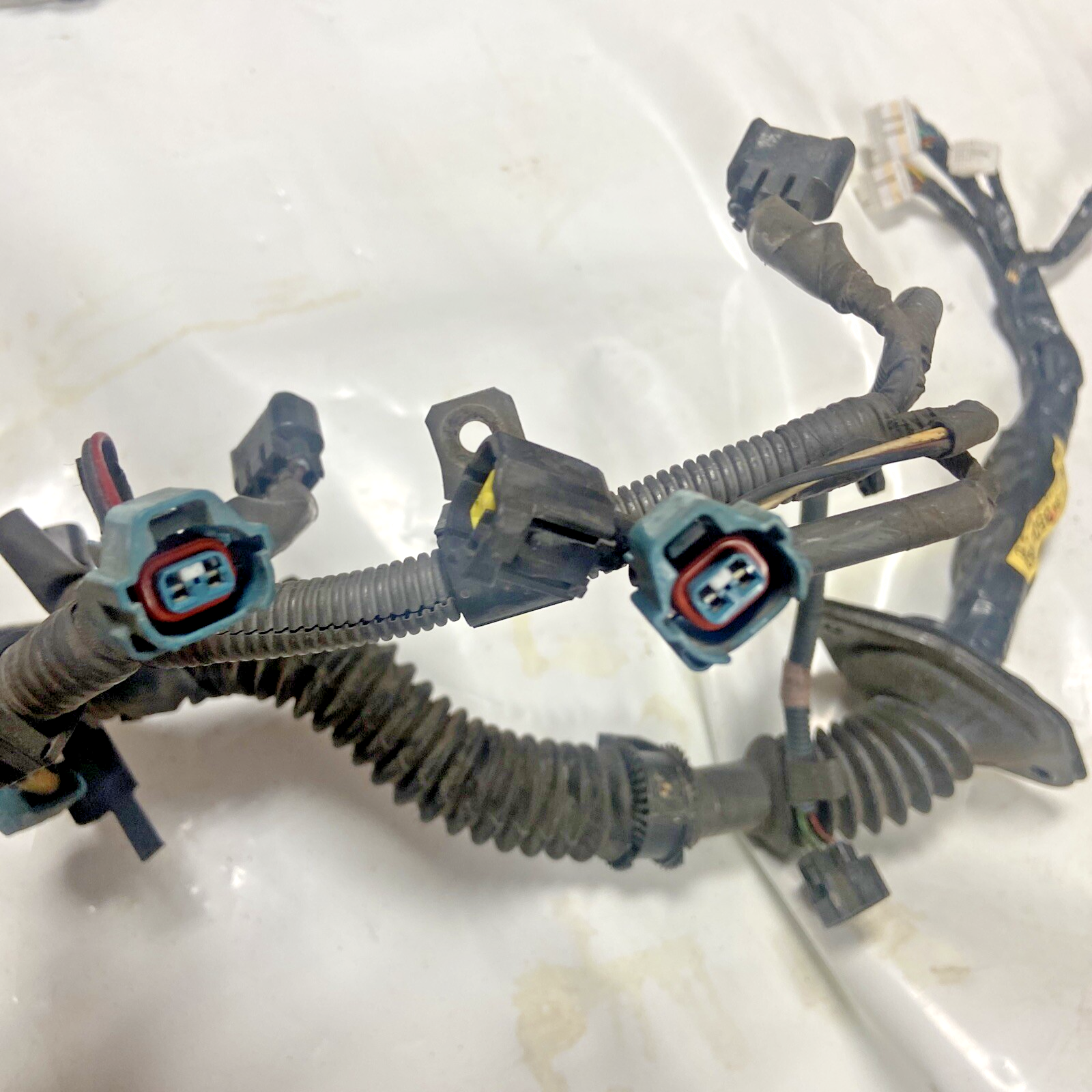 02,03,04,05 Toyota Sequoia Engine Wiring Harness