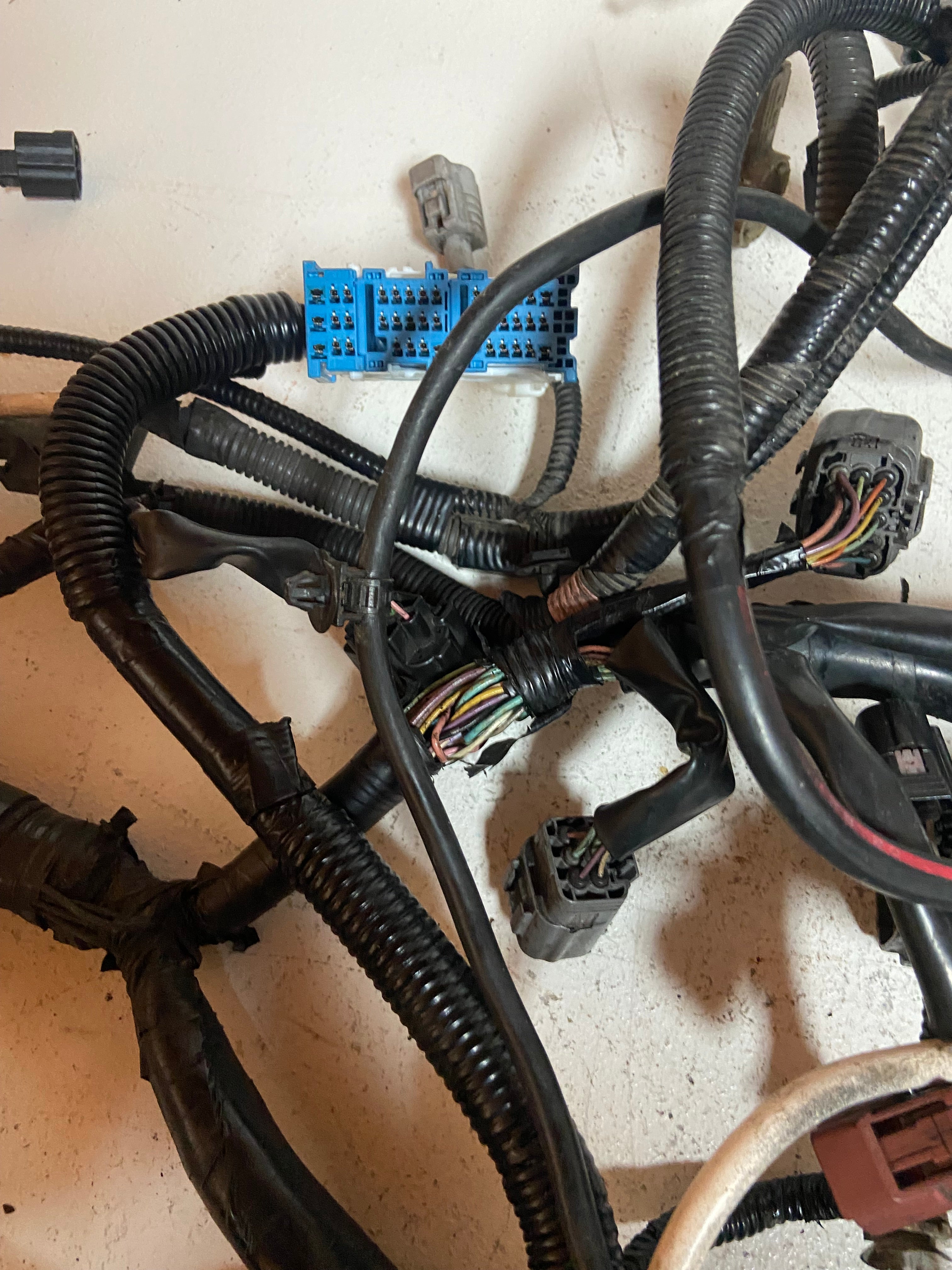 Engine wiring harness with blue relay connector and multiple plug leads on black loom.