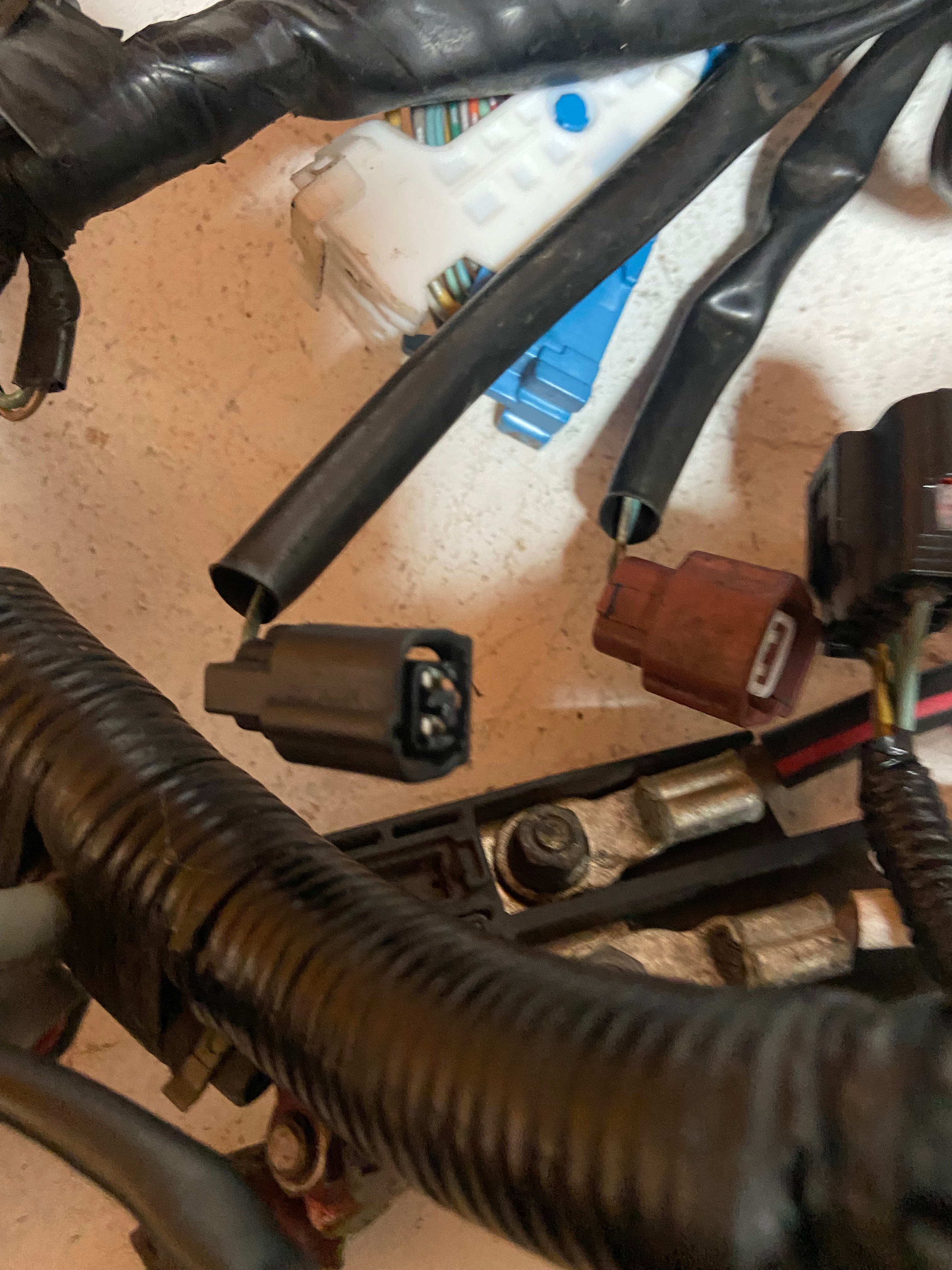 Wiring harness connectors and terminals with black corrugated cable and ECU plug ends.