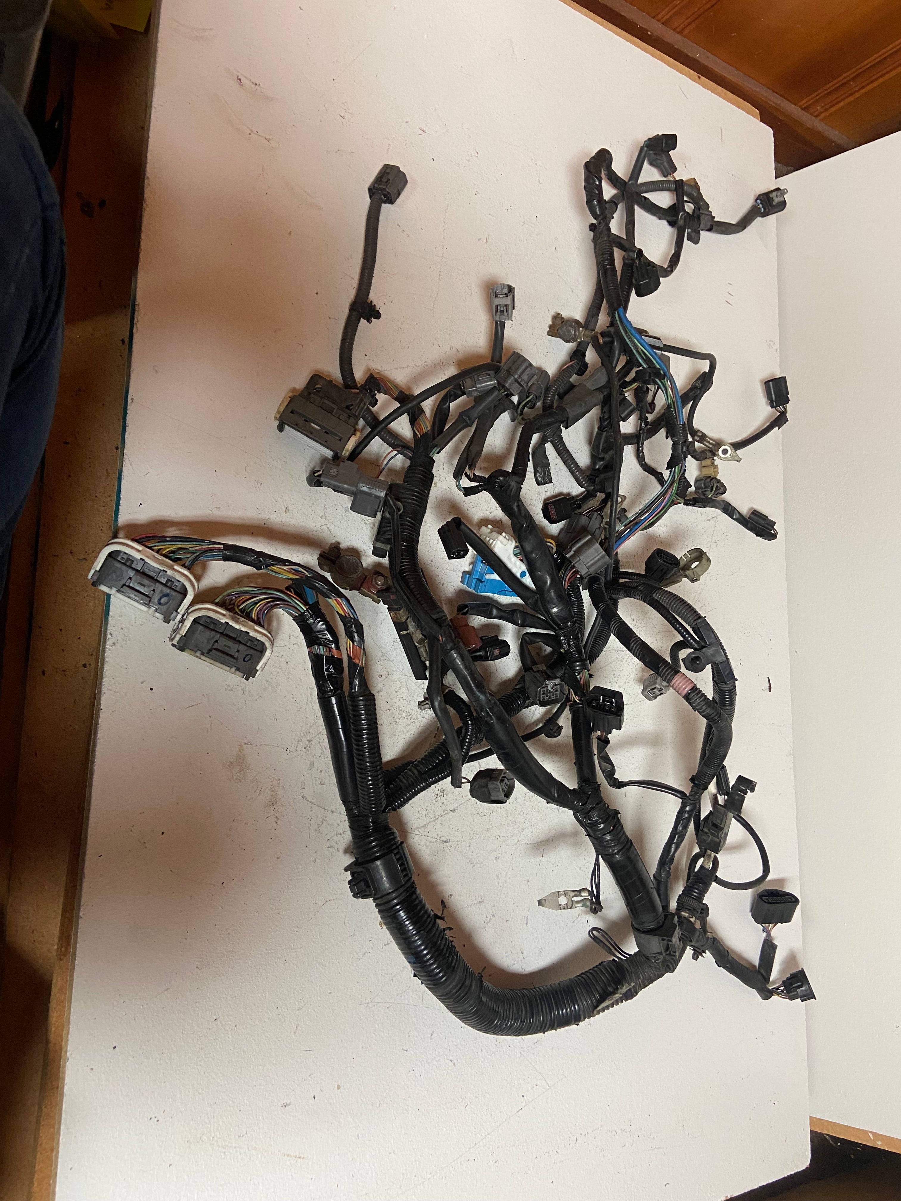 Engine wiring harness assembly with bundled black wires and multiple sensor/ECU connectors.