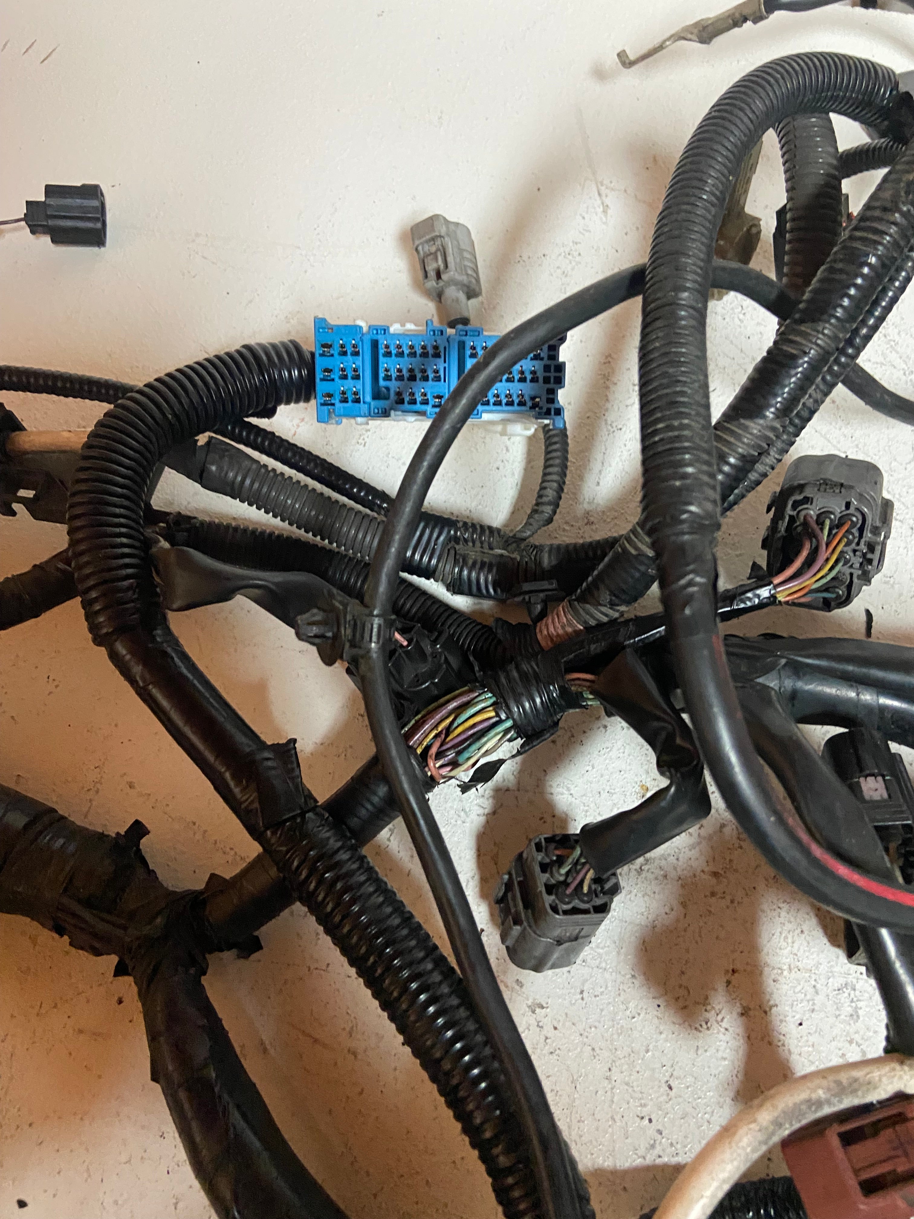 Engine wiring harness with blue connector block and several black sensor plug housings.