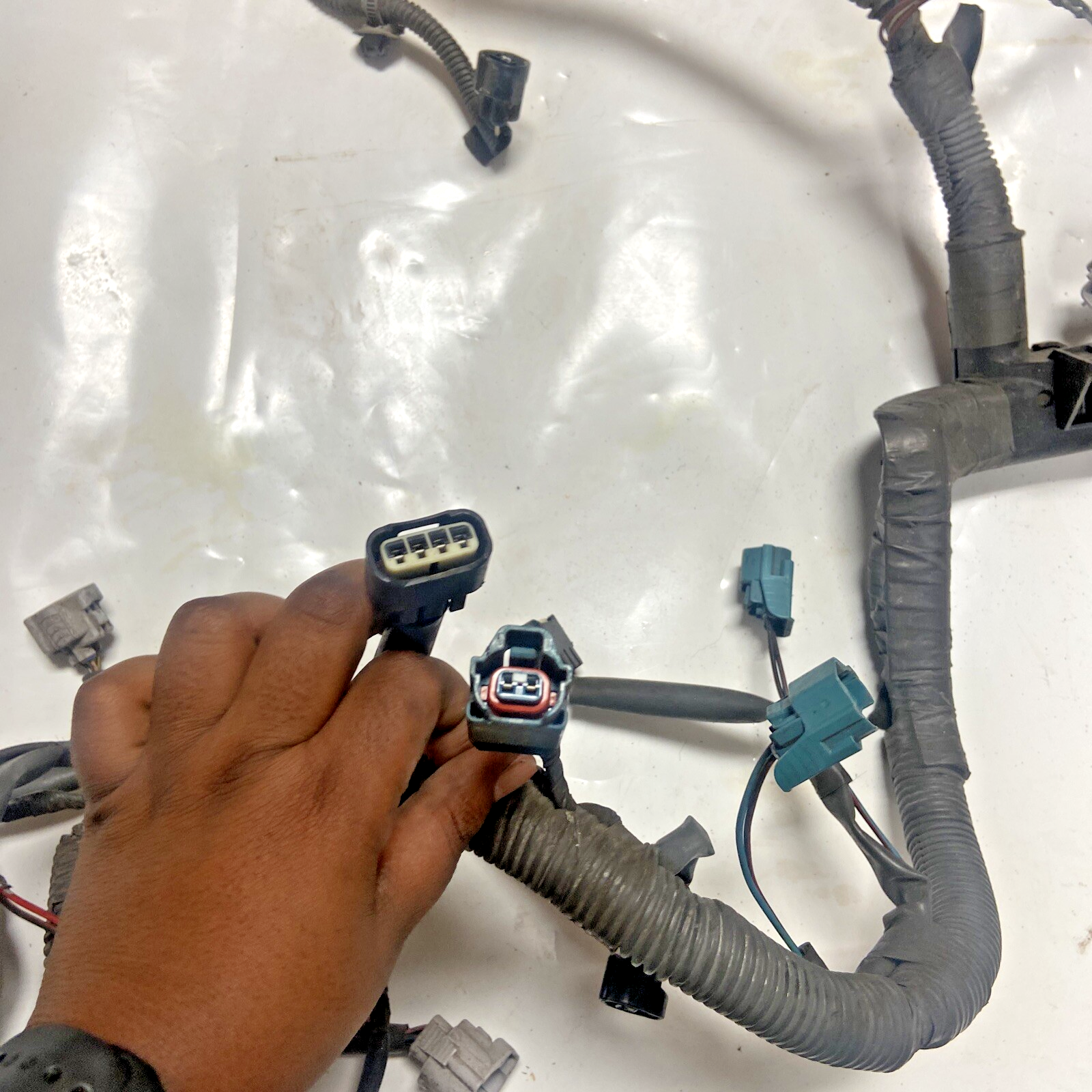 02,03,04,05 Toyota Sequoia Engine Wiring Harness
