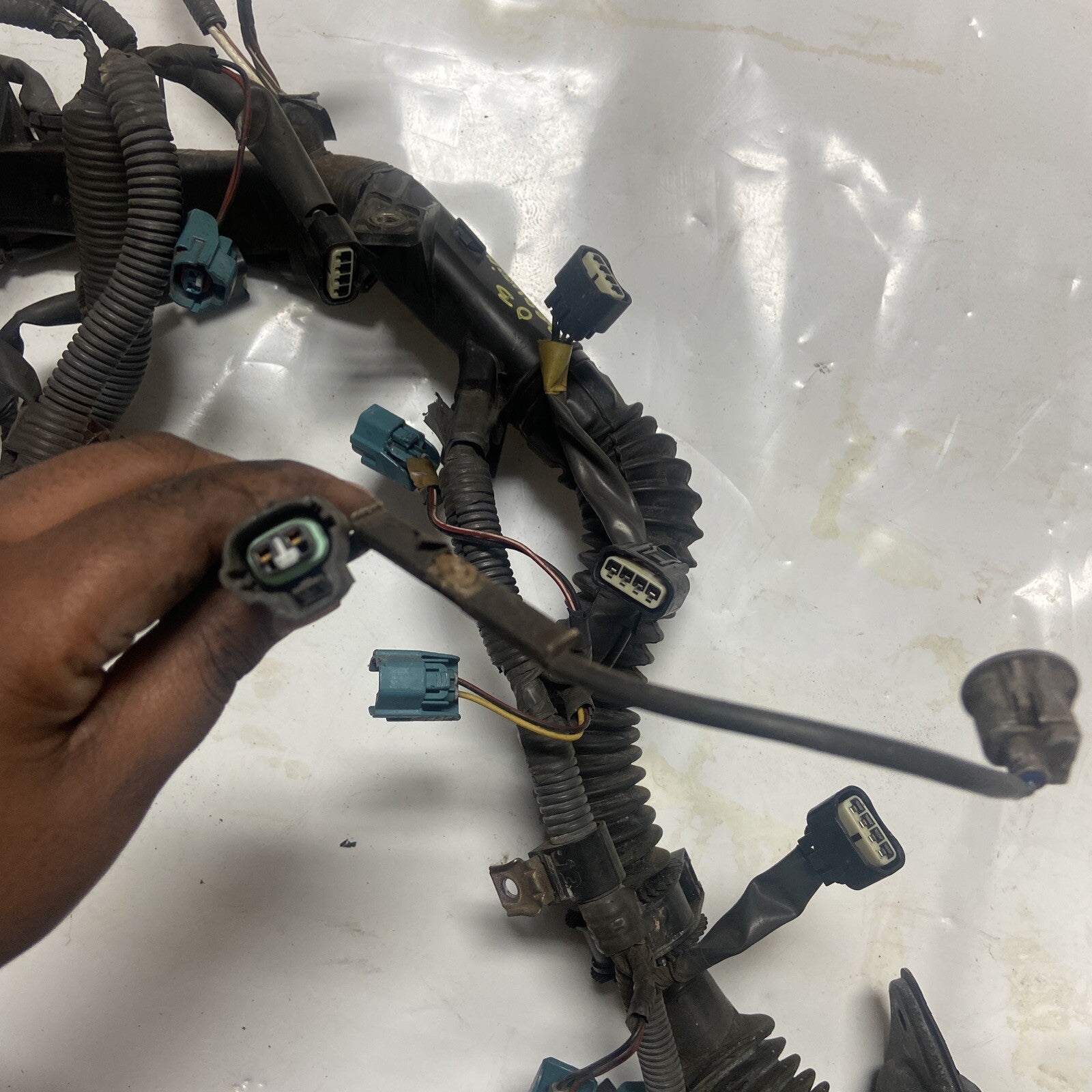 02,03,04,05 Toyota Sequoia Engine Wiring Harness