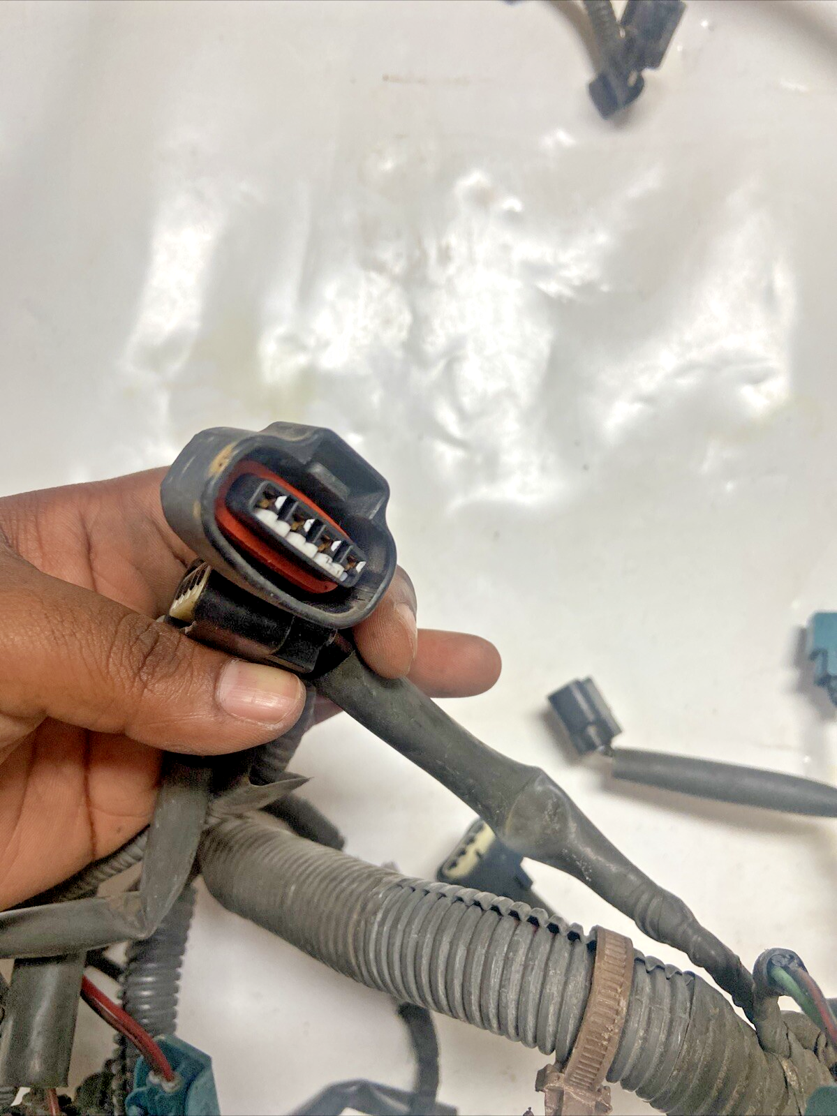 02,03,04,05 Toyota Sequoia Engine Wiring Harness