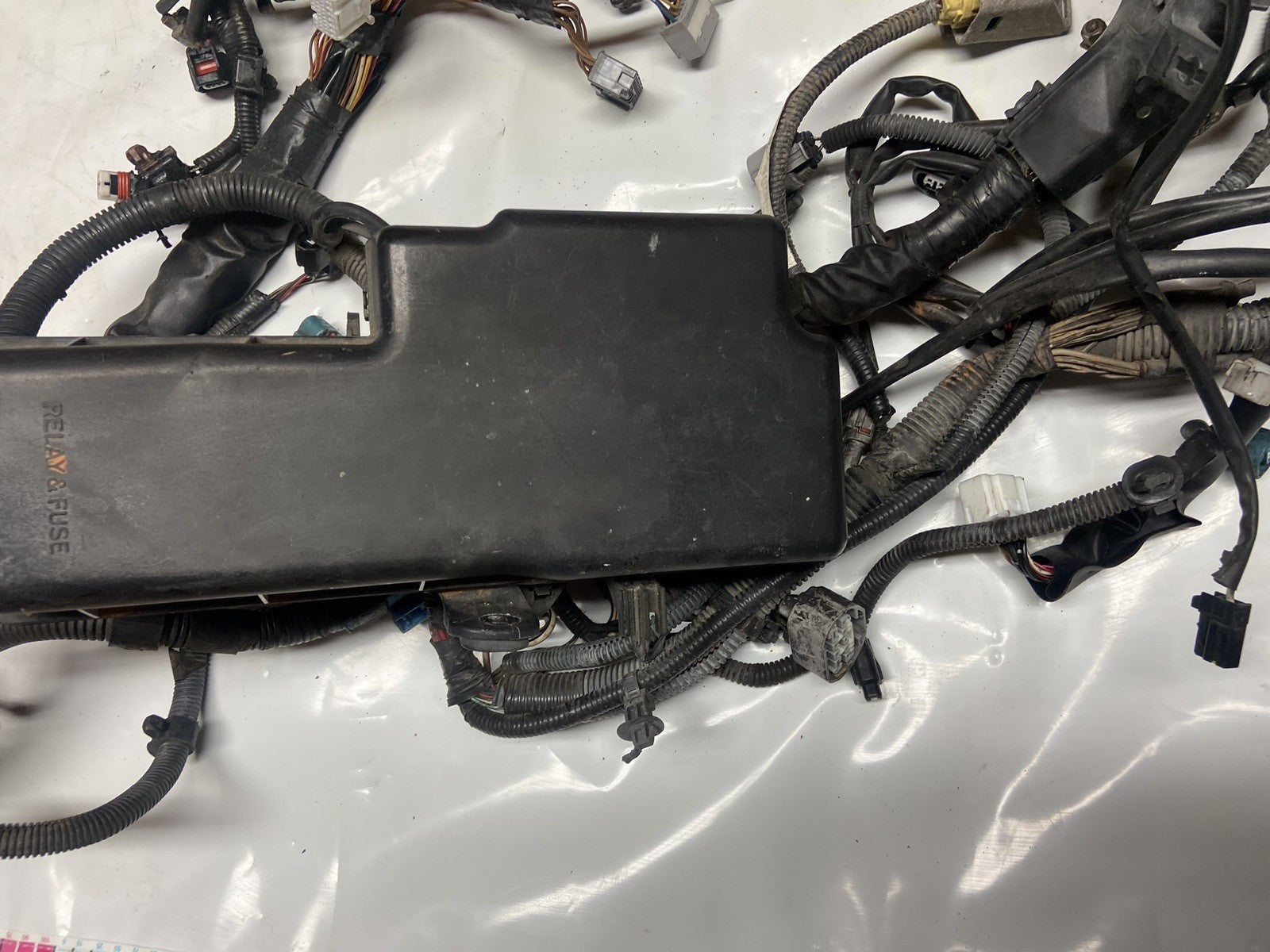 2002-03 Lexus ES 300 Complete Engine Wiring Harness and Fuse Box Wiring Harness