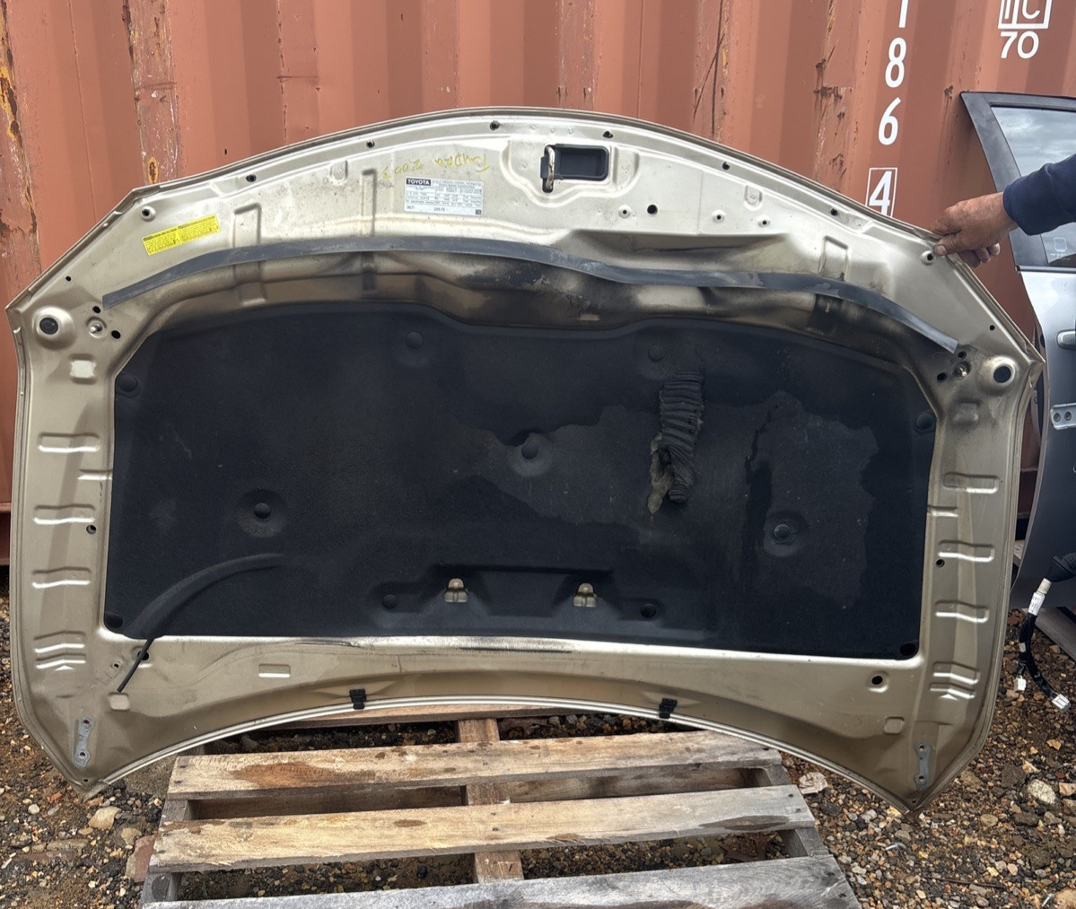 2000-2006 TOYOTA TUNDRA HOOD PANEL ASSEMBLY OEM GOLD