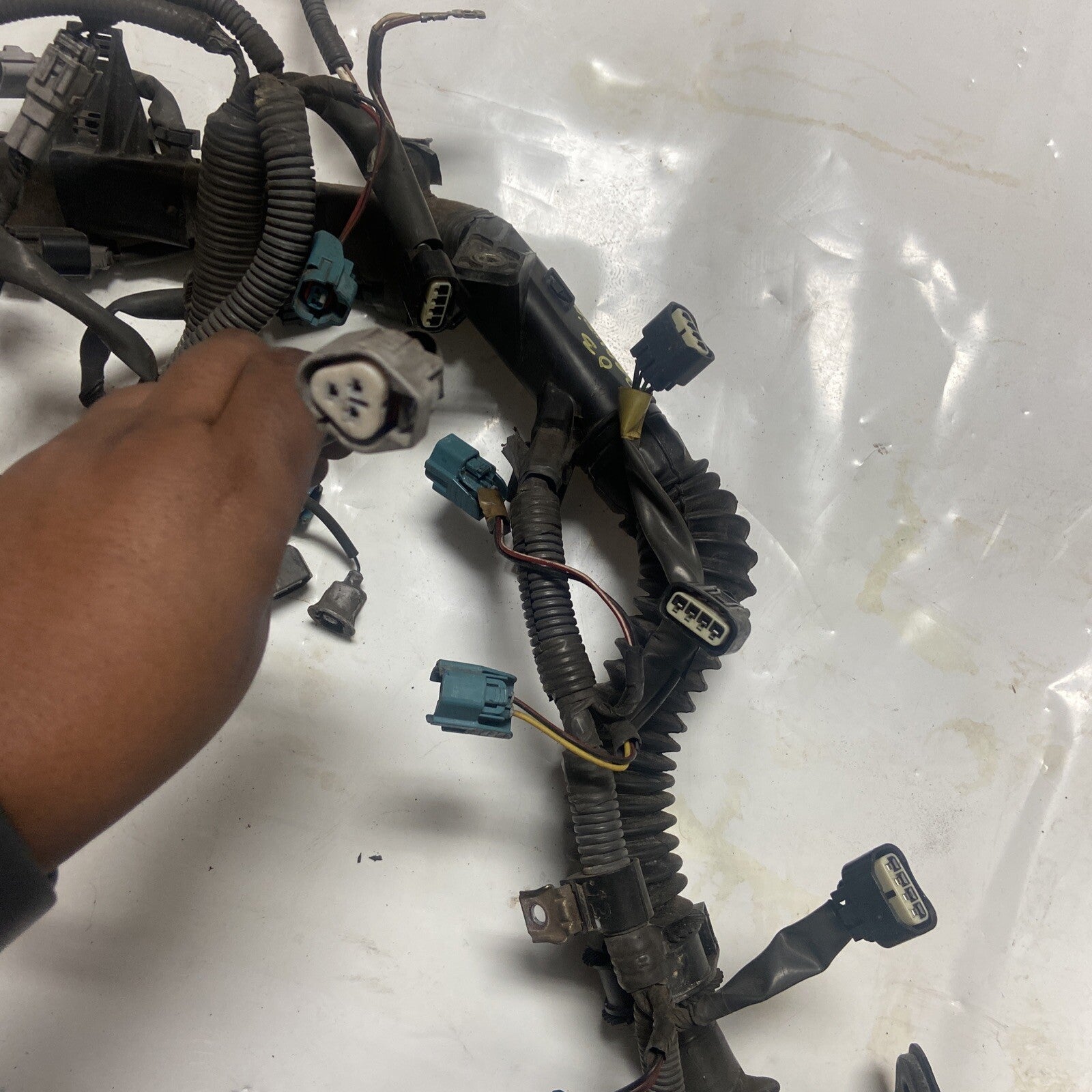 02,03,04,05 Toyota Sequoia Engine Wiring Harness