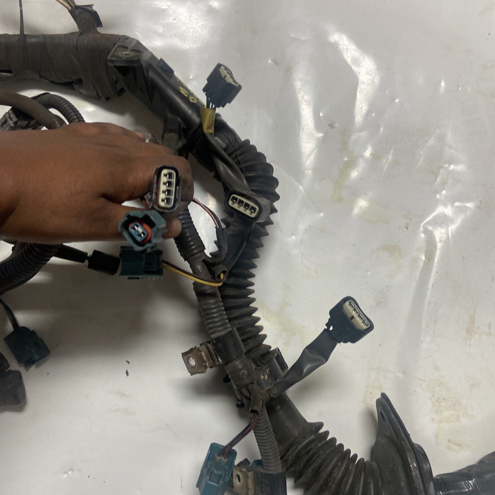 02,03,04,05 Toyota Sequoia Engine Wiring Harness