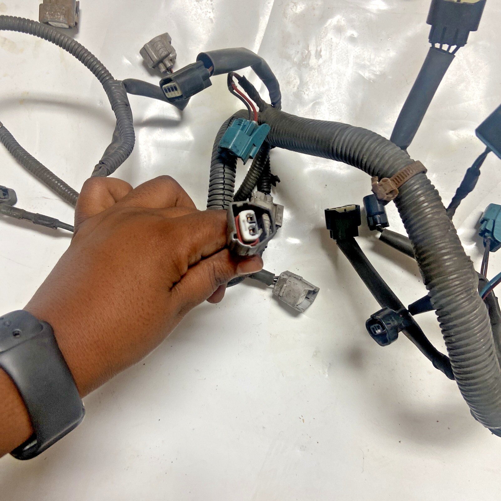 02,03,04,05 Toyota Sequoia Engine Wiring Harness