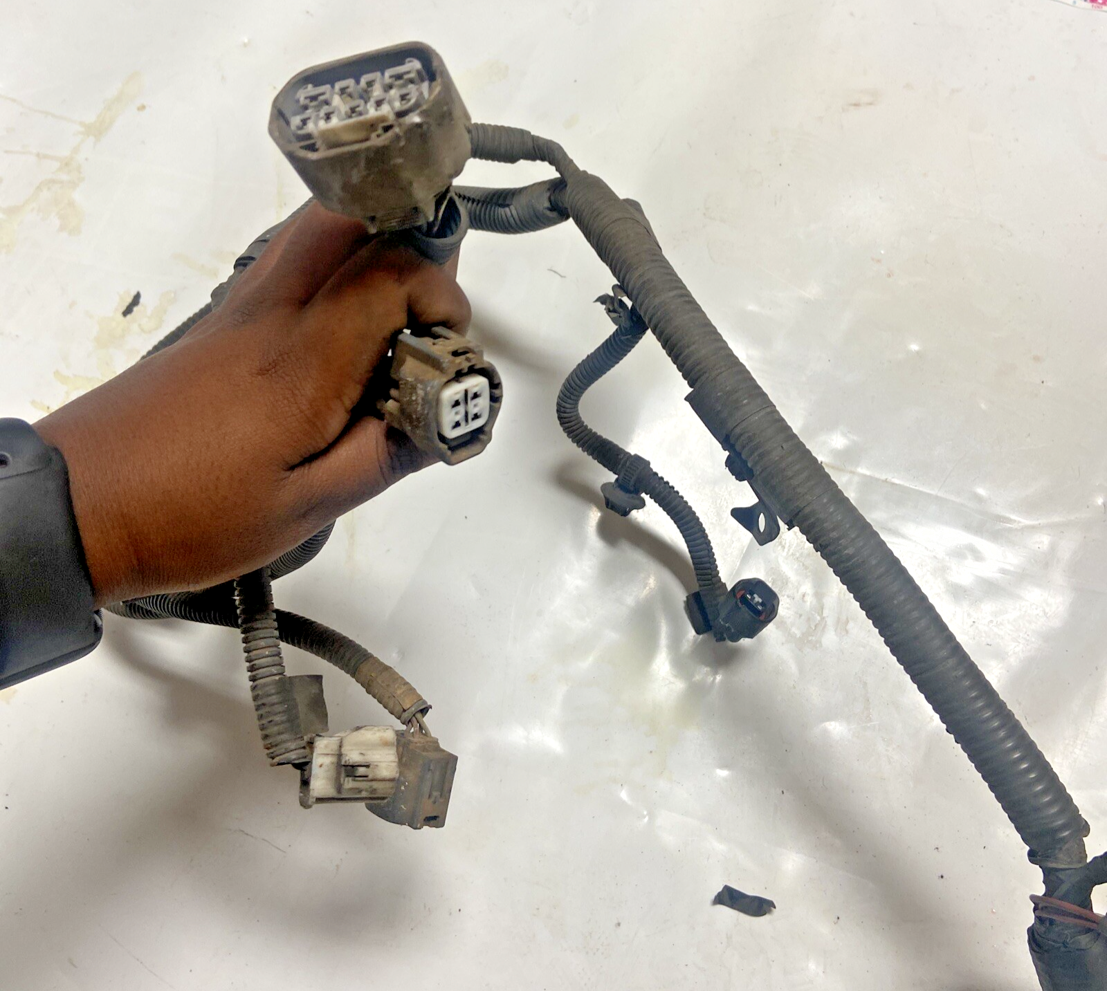 02,03,04,05 Toyota Sequoia Engine Wiring Harness
