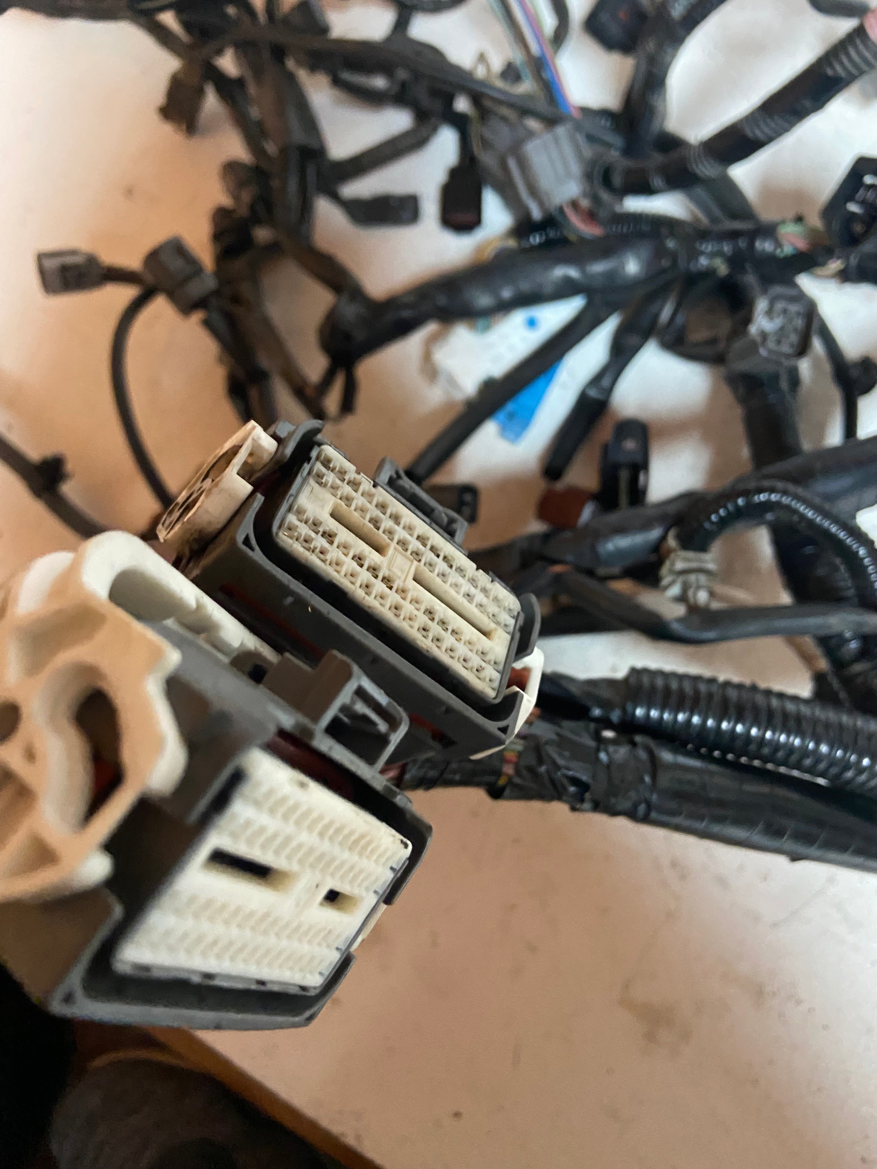 Multi-connector wiring harness module with white/gray plug housings and black cable loom.